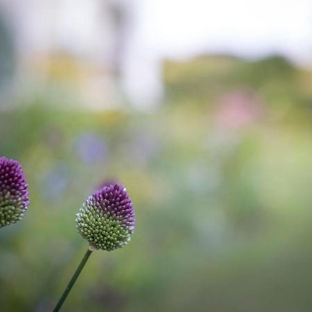 Middle Cottage Southlands Farm Gunnerton ภายนอก รูปภาพ
