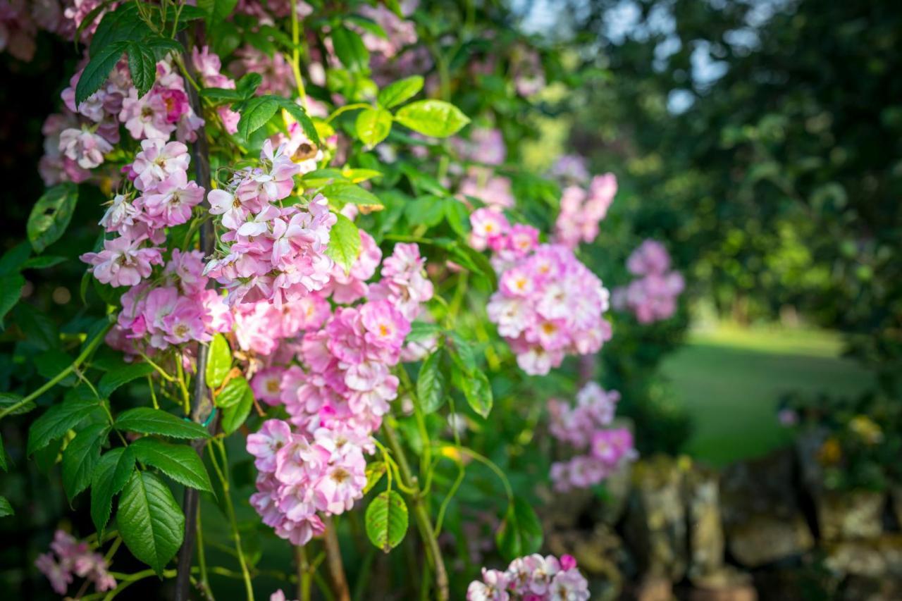 Middle Cottage Southlands Farm Gunnerton ภายนอก รูปภาพ