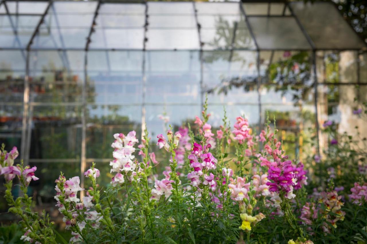 Middle Cottage Southlands Farm Gunnerton ภายนอก รูปภาพ