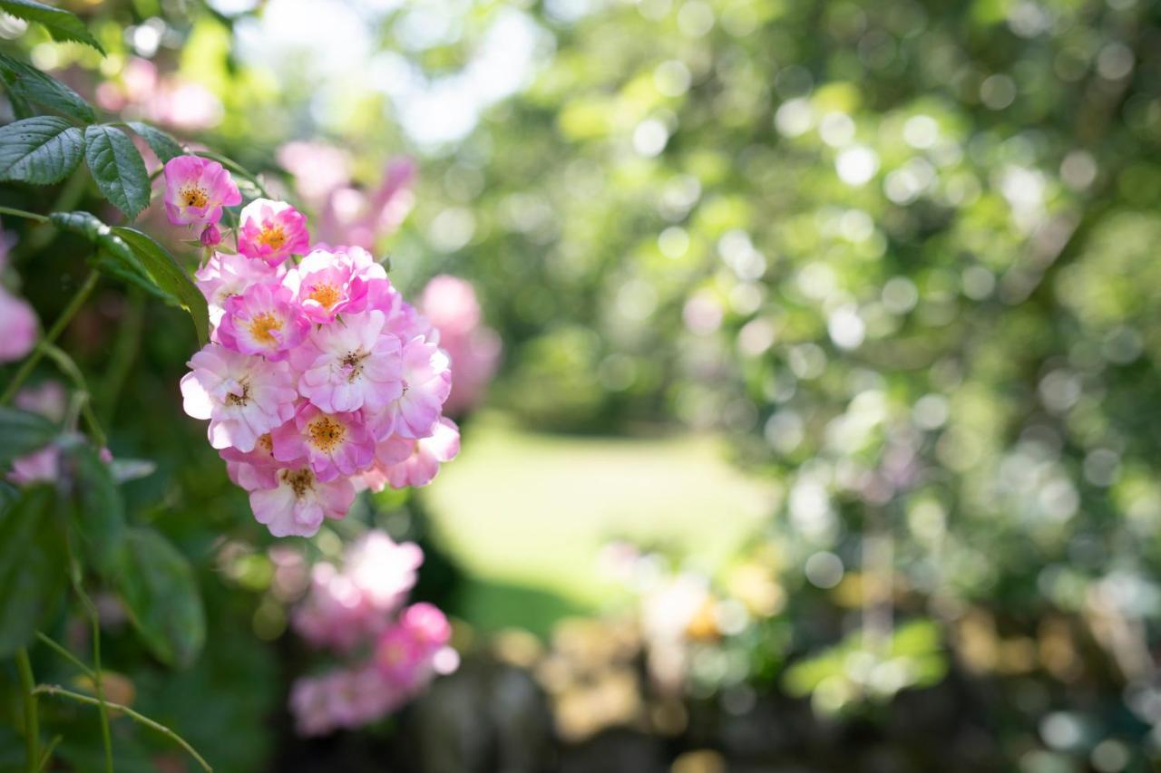 Middle Cottage Southlands Farm Gunnerton ภายนอก รูปภาพ